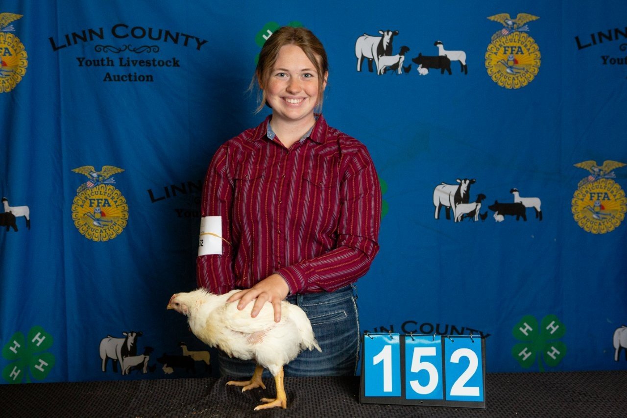 Chicken-152.jpg