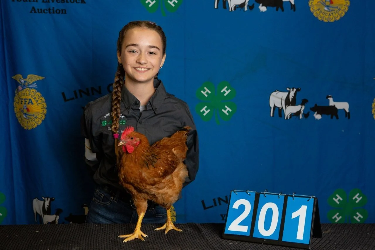 Chicken-201.jpg