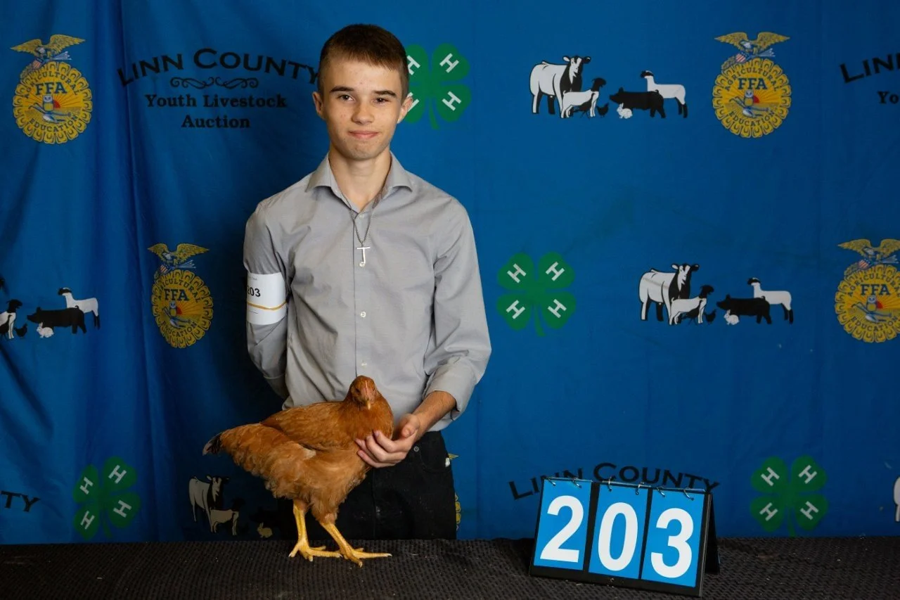 Chicken-203.jpg