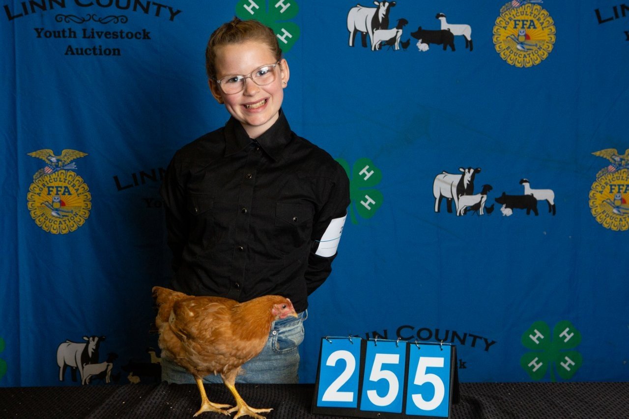 Chicken-255.jpg