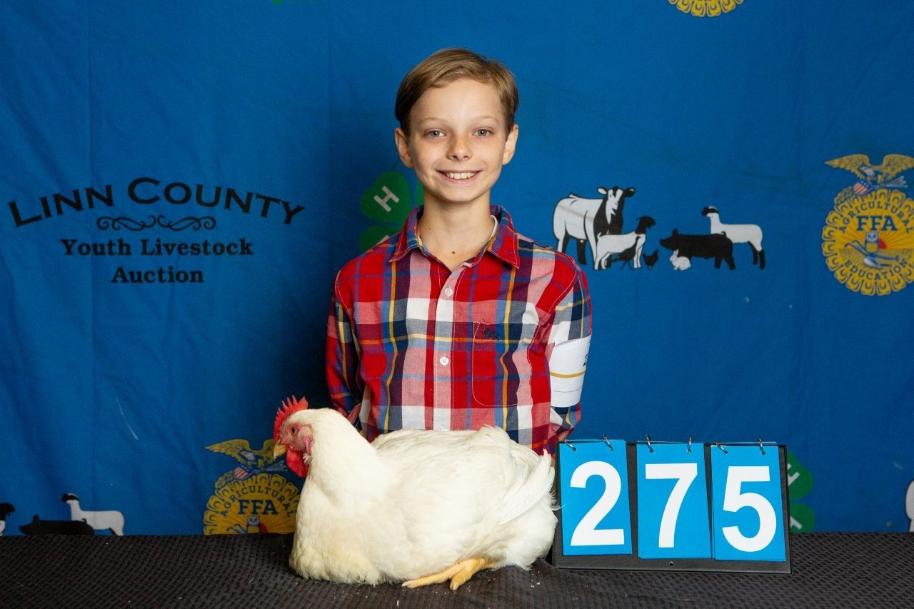 Chicken-275.jpg