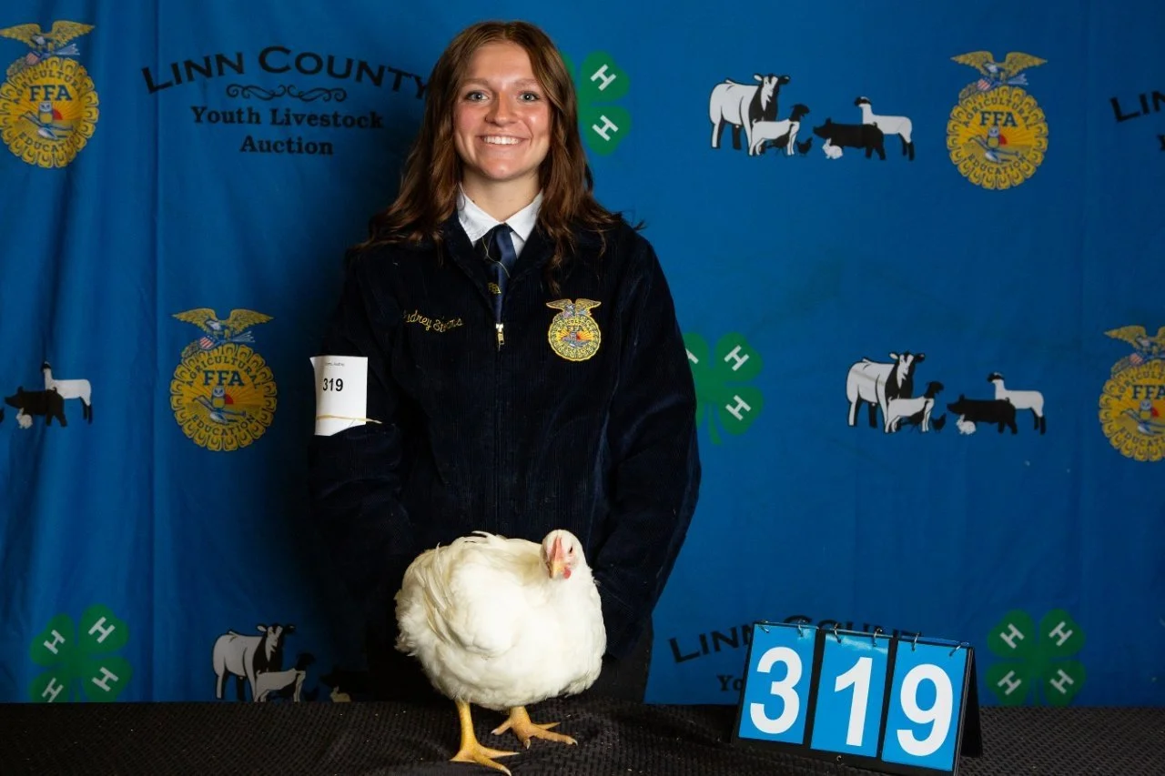 Chicken-319.jpg