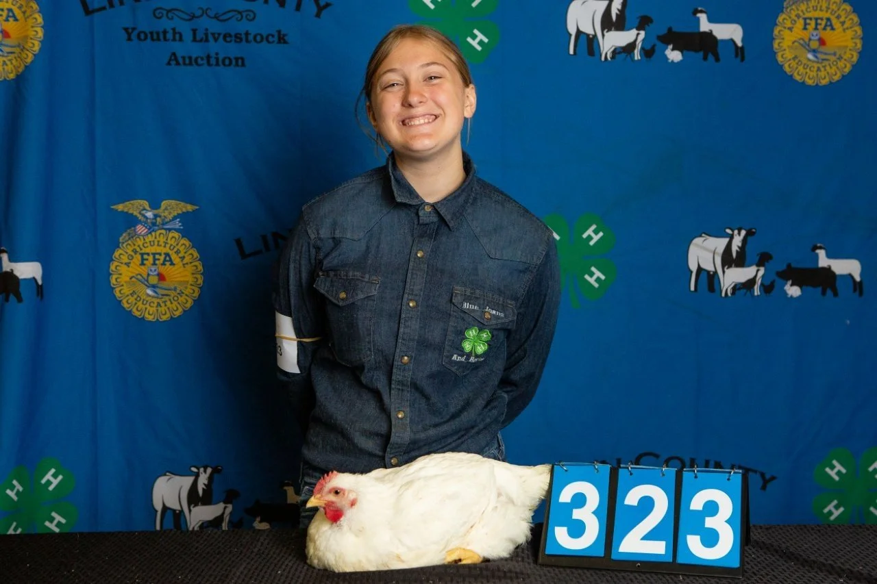 Chicken-323.jpg