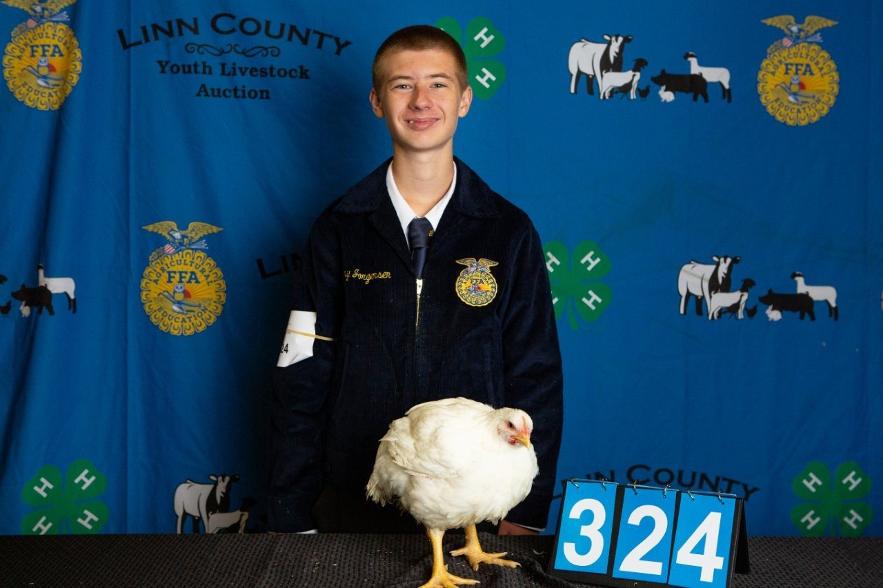 Chicken-324.jpg