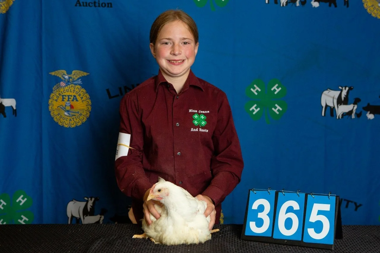 Chicken-365.jpg
