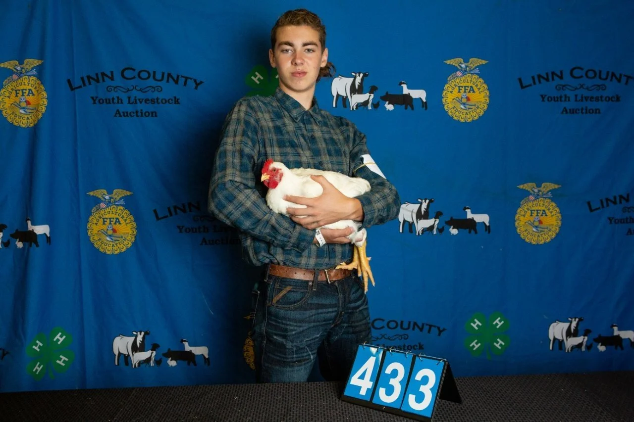 Chicken-433.jpg