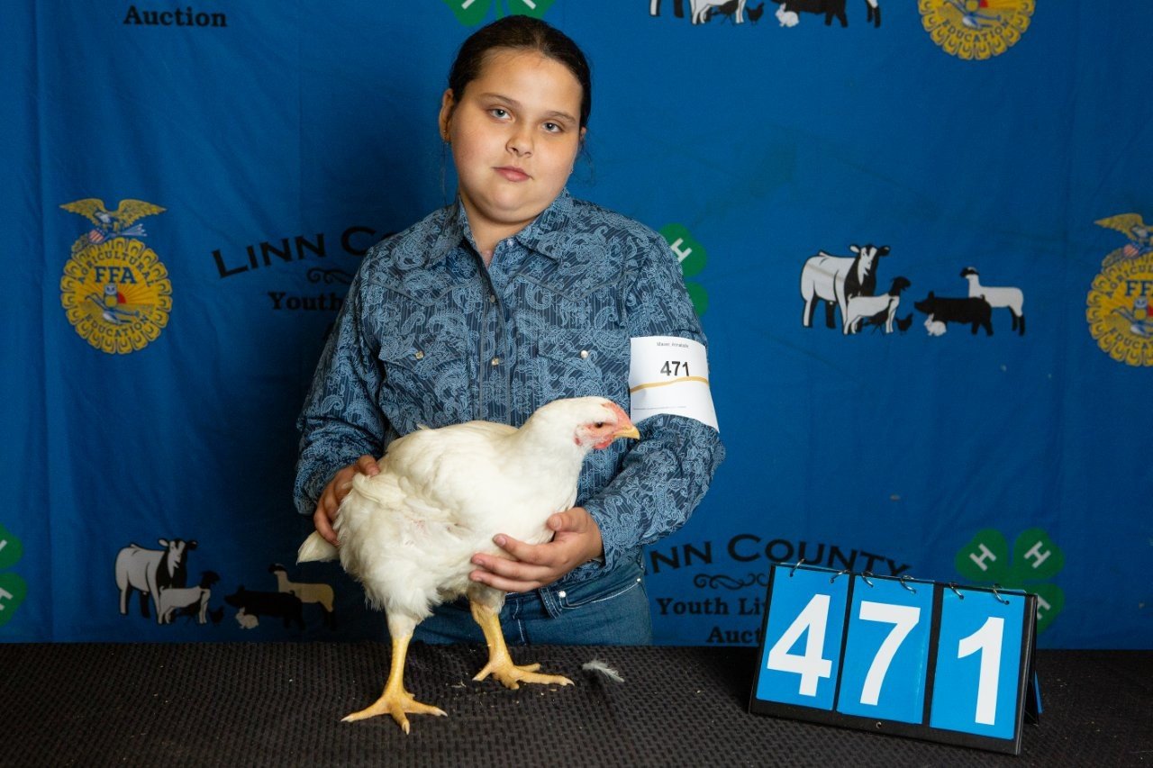 Chicken-471.jpg