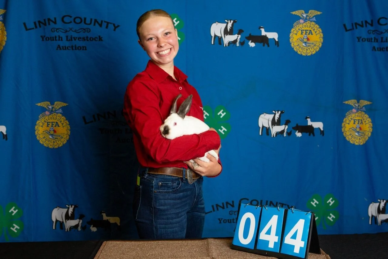 Rabbits-044.jpg