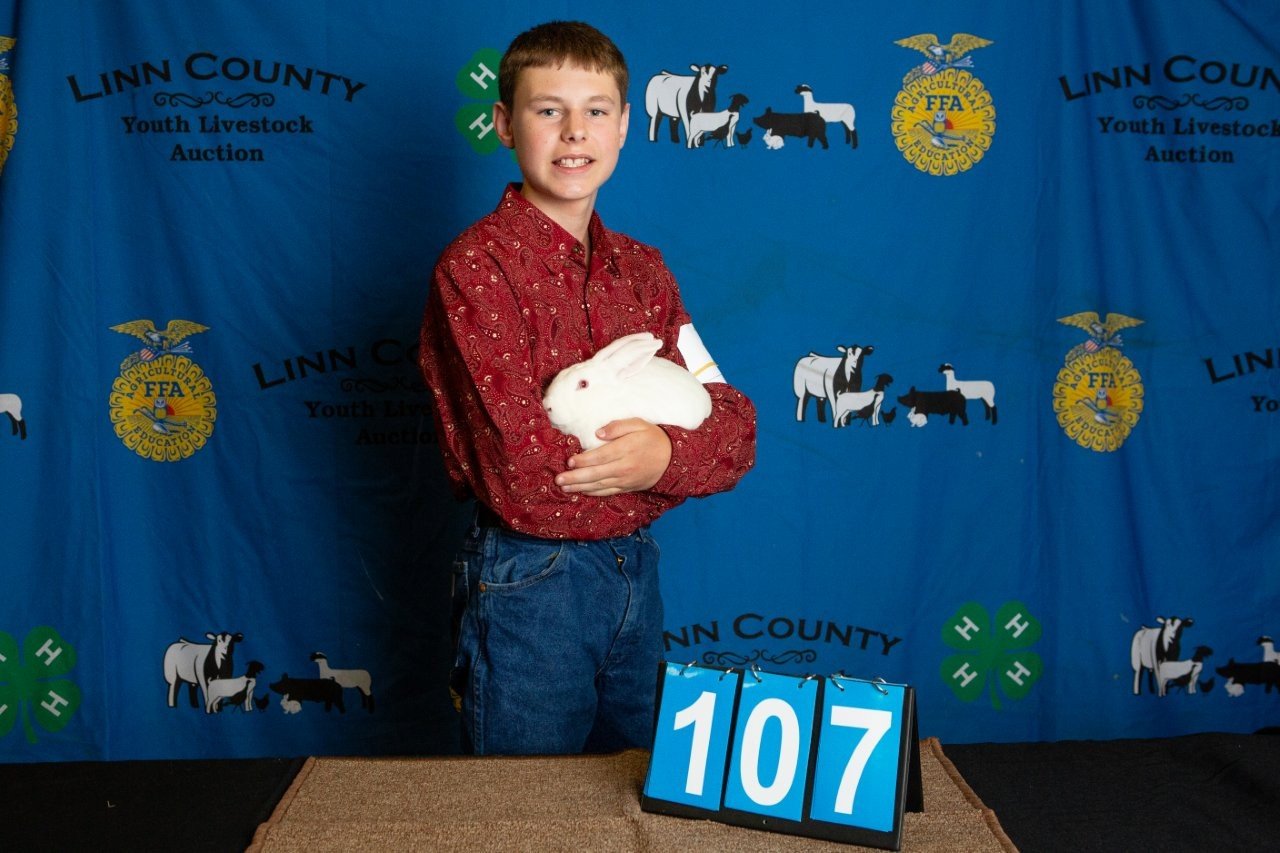 Rabbits-107.jpg