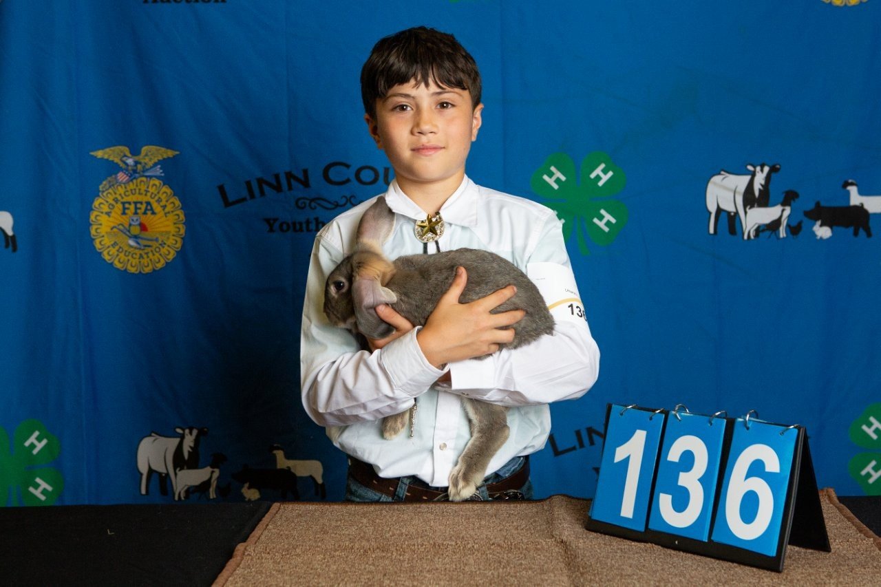 Rabbits-136.jpg