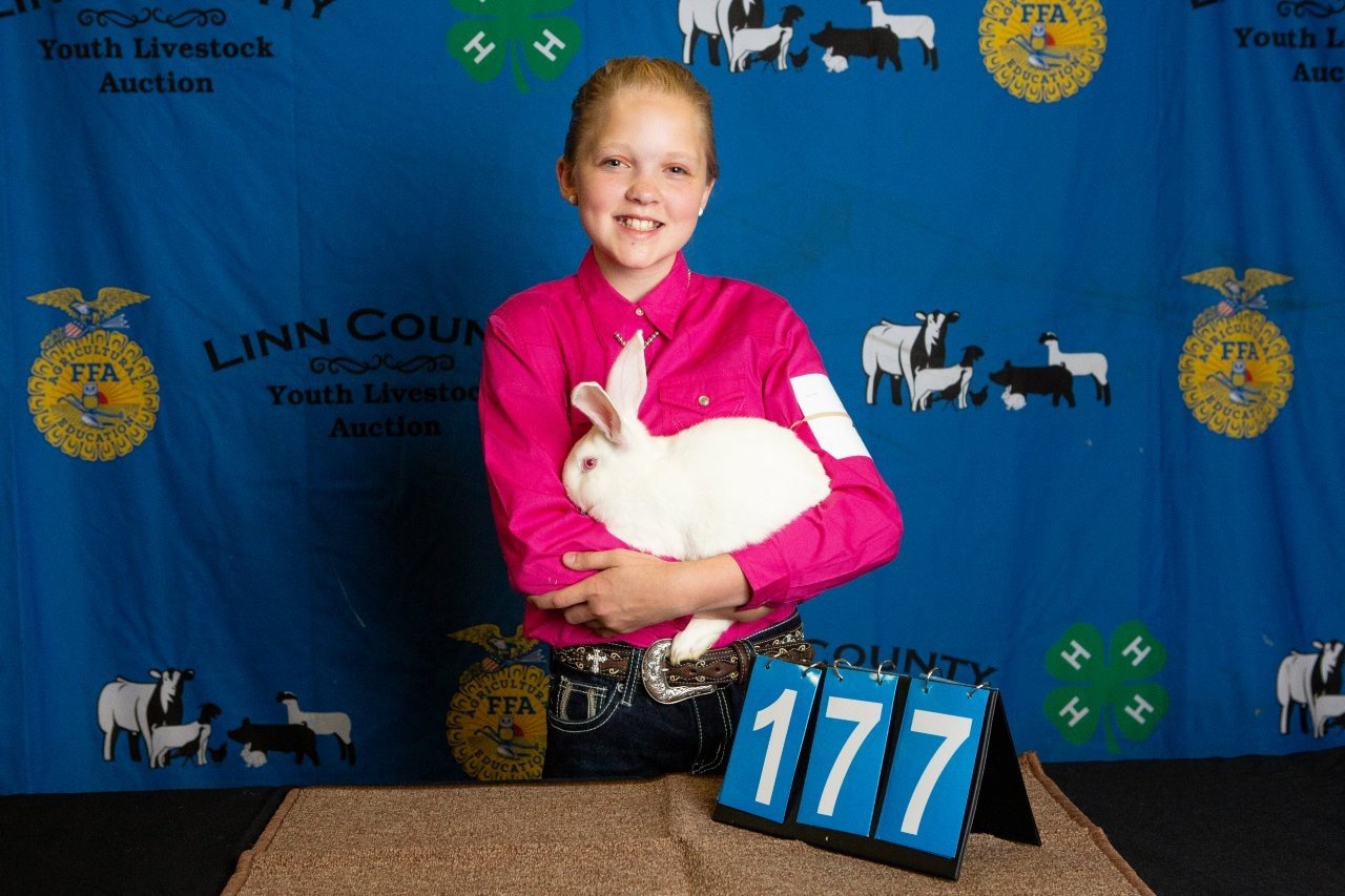 Rabbits-177.jpg