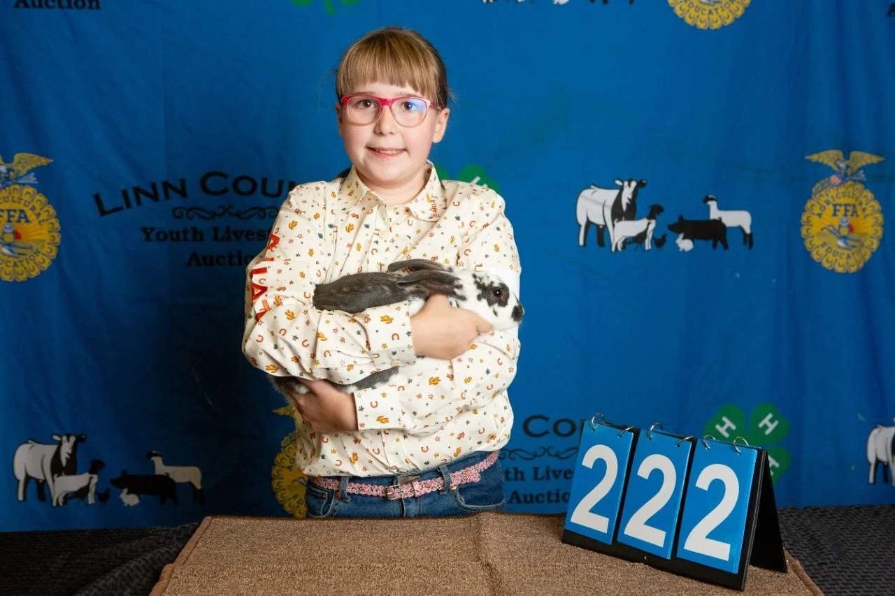 Rabbits-222.jpg