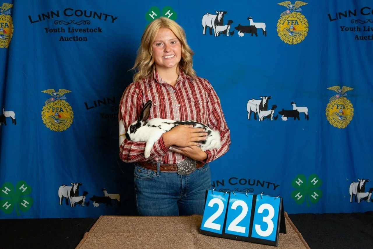 Rabbits-223.jpg