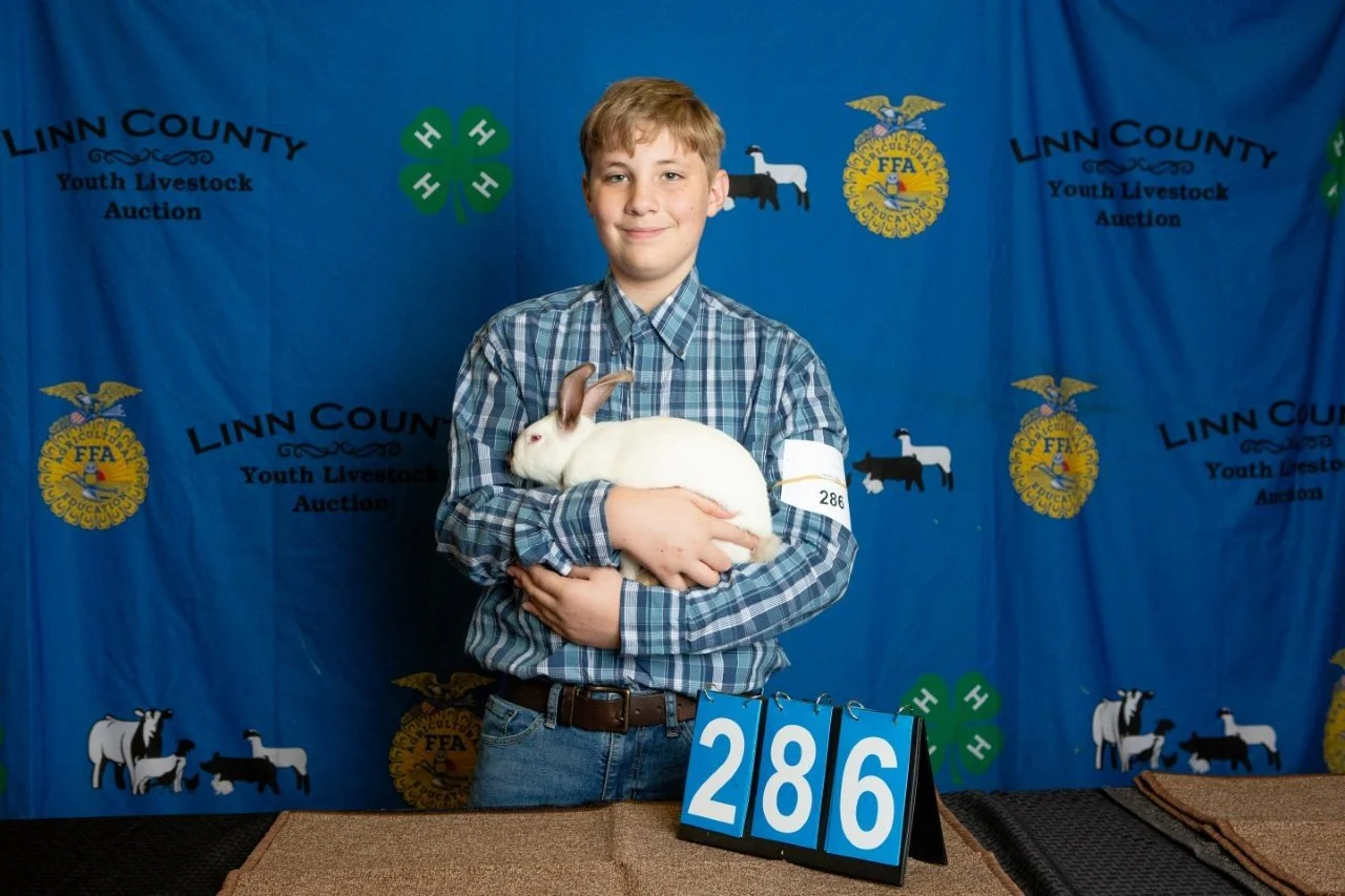 Rabbits-286.jpg