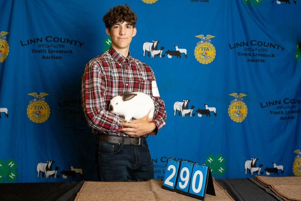 Rabbits-290.jpg