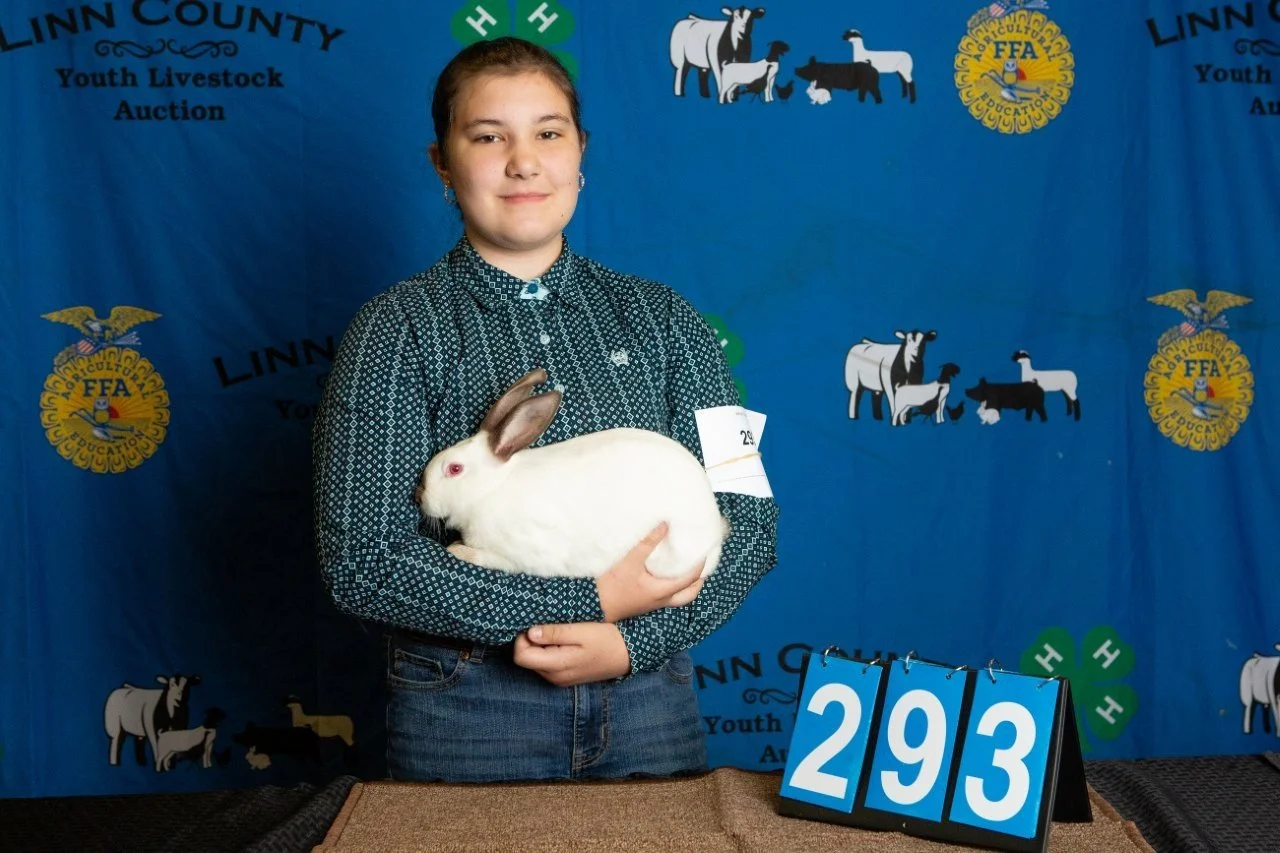 Rabbits-293.jpg