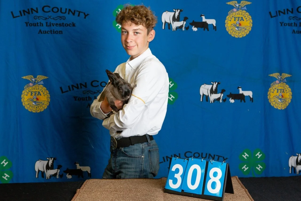 Rabbits-308.jpg
