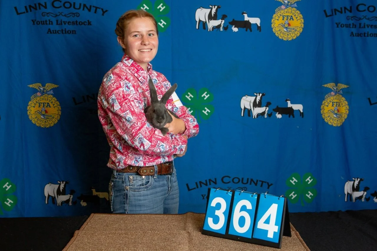 Rabbits-364.jpg