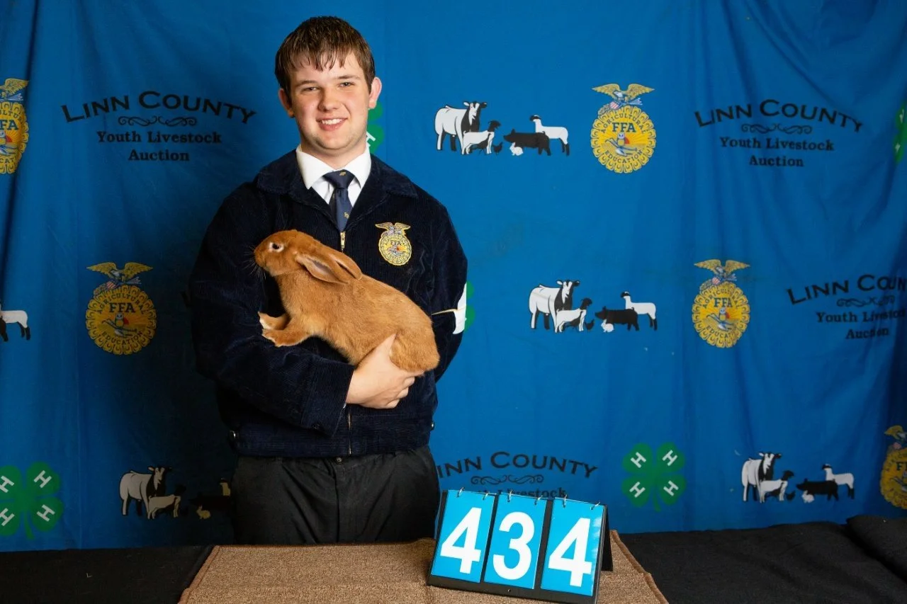 Rabbits-434.jpg