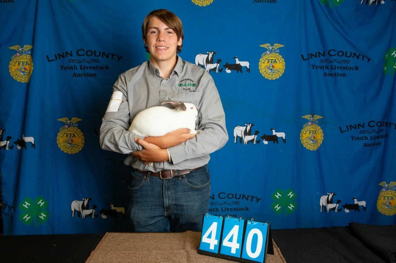 Rabbits-440.jpg
