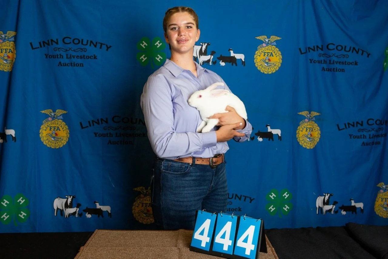 Rabbits-444.jpg