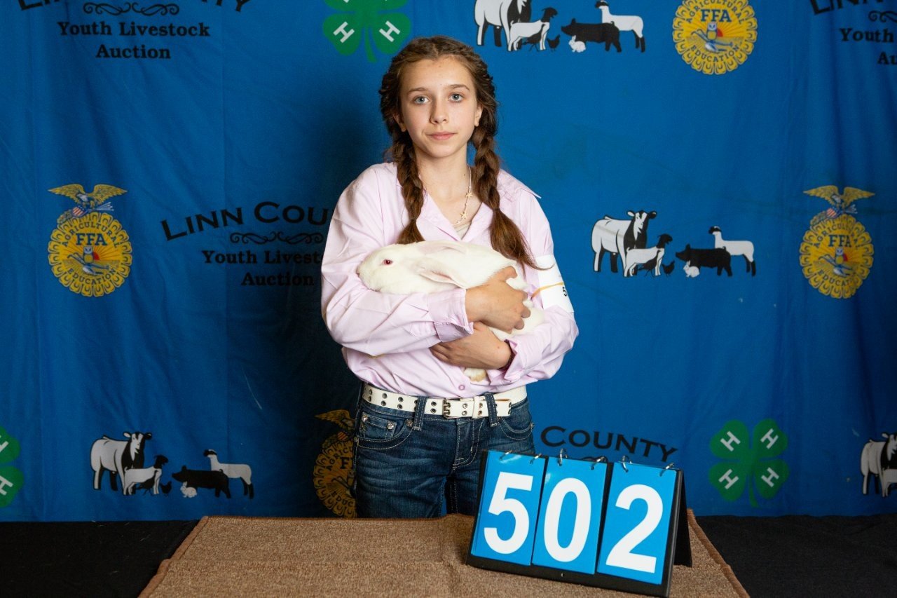 Rabbits-502.jpg
