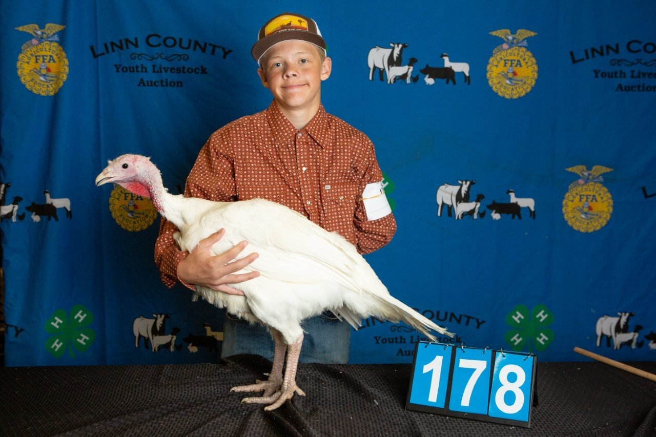 Turkey-178.jpg