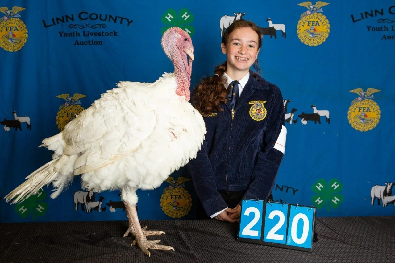Turkey-220.jpg