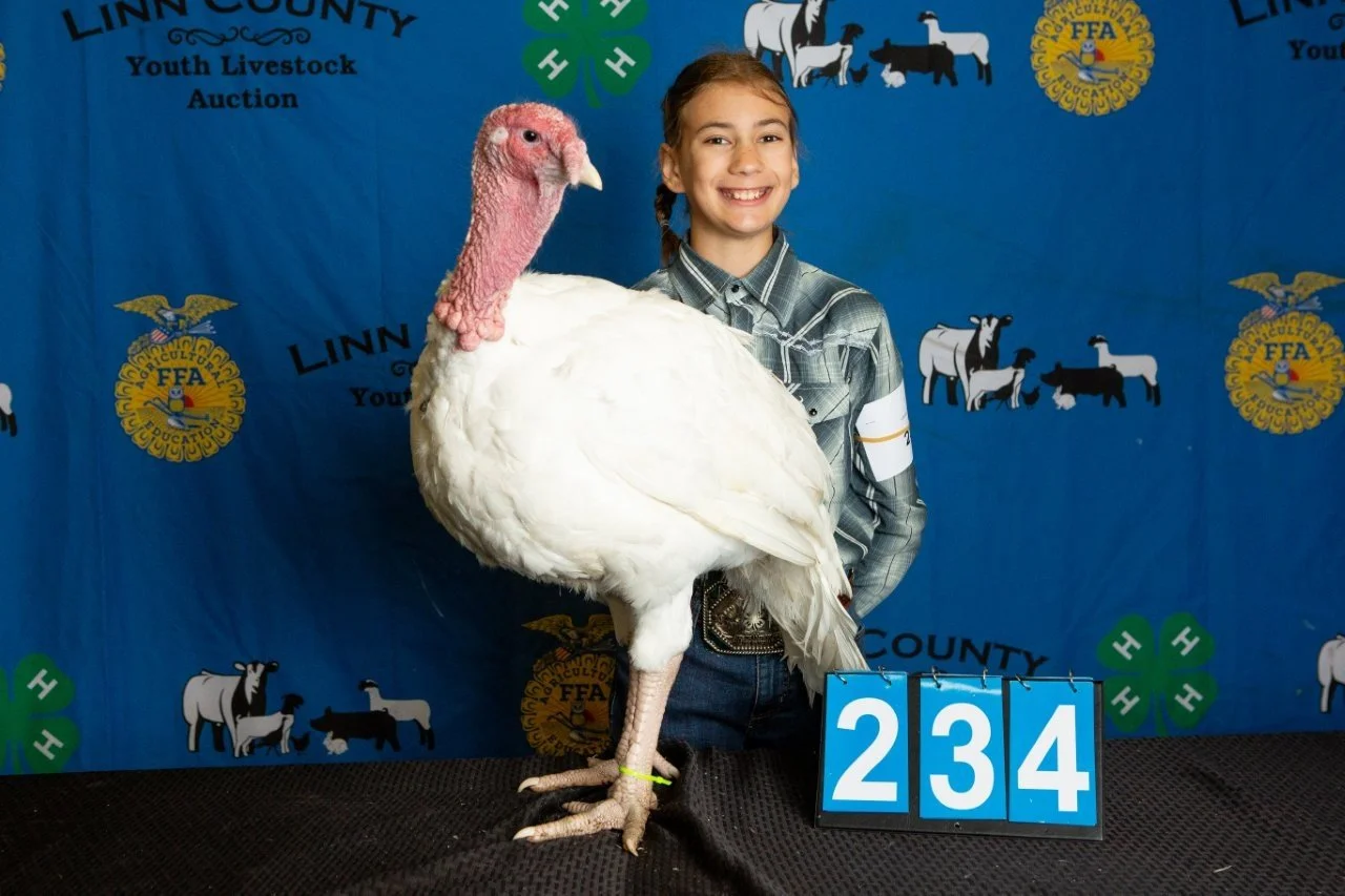 Turkey-234.jpg
