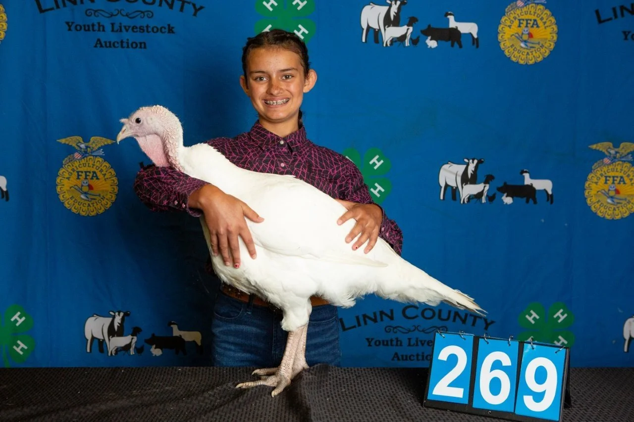 Turkey-269.jpg