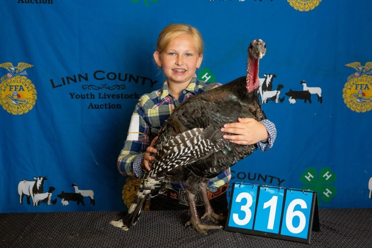 Turkey-316.jpg
