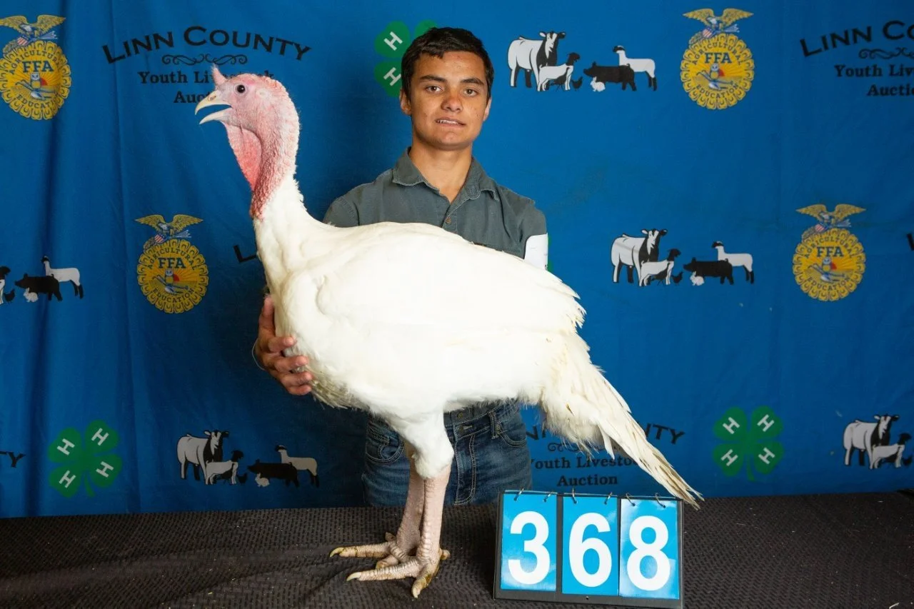 Turkey-368.jpg