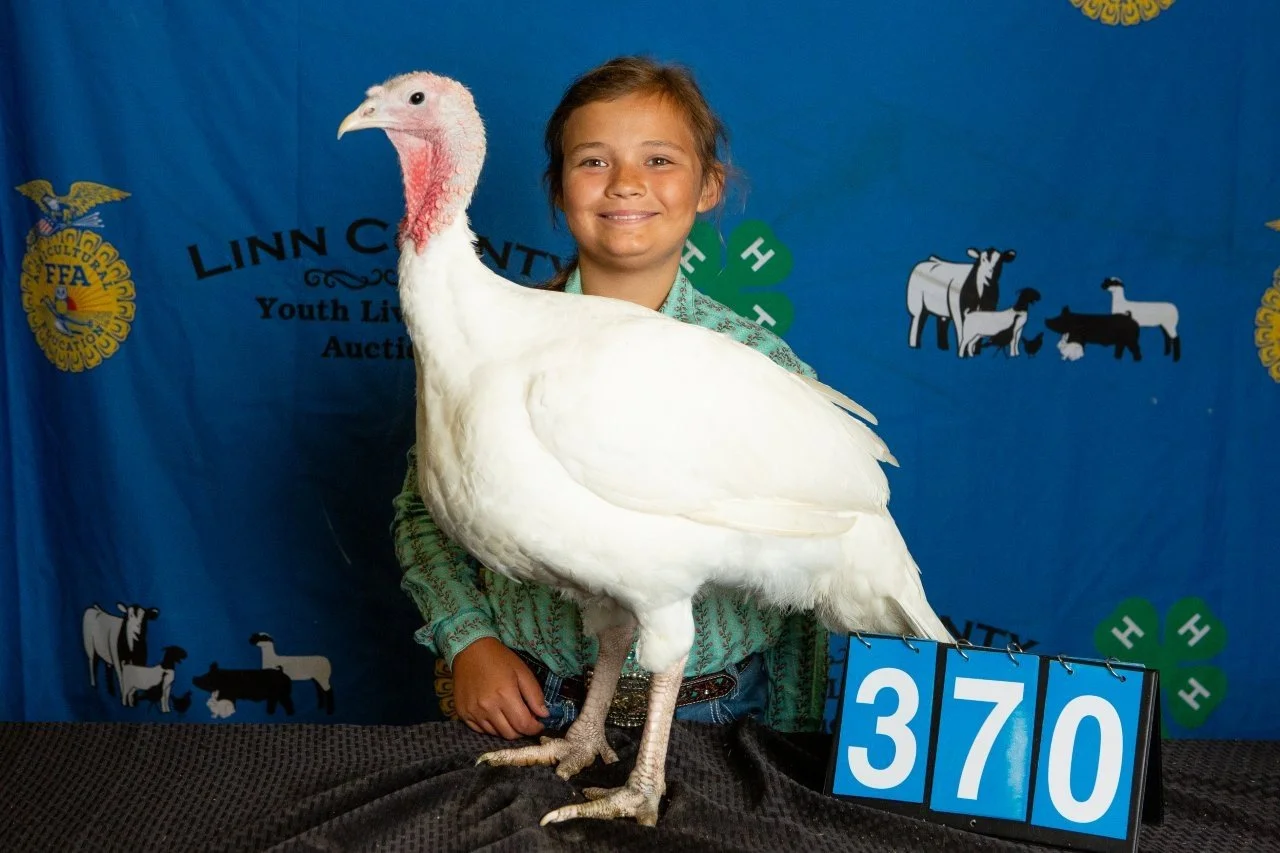 Turkey-370.jpg