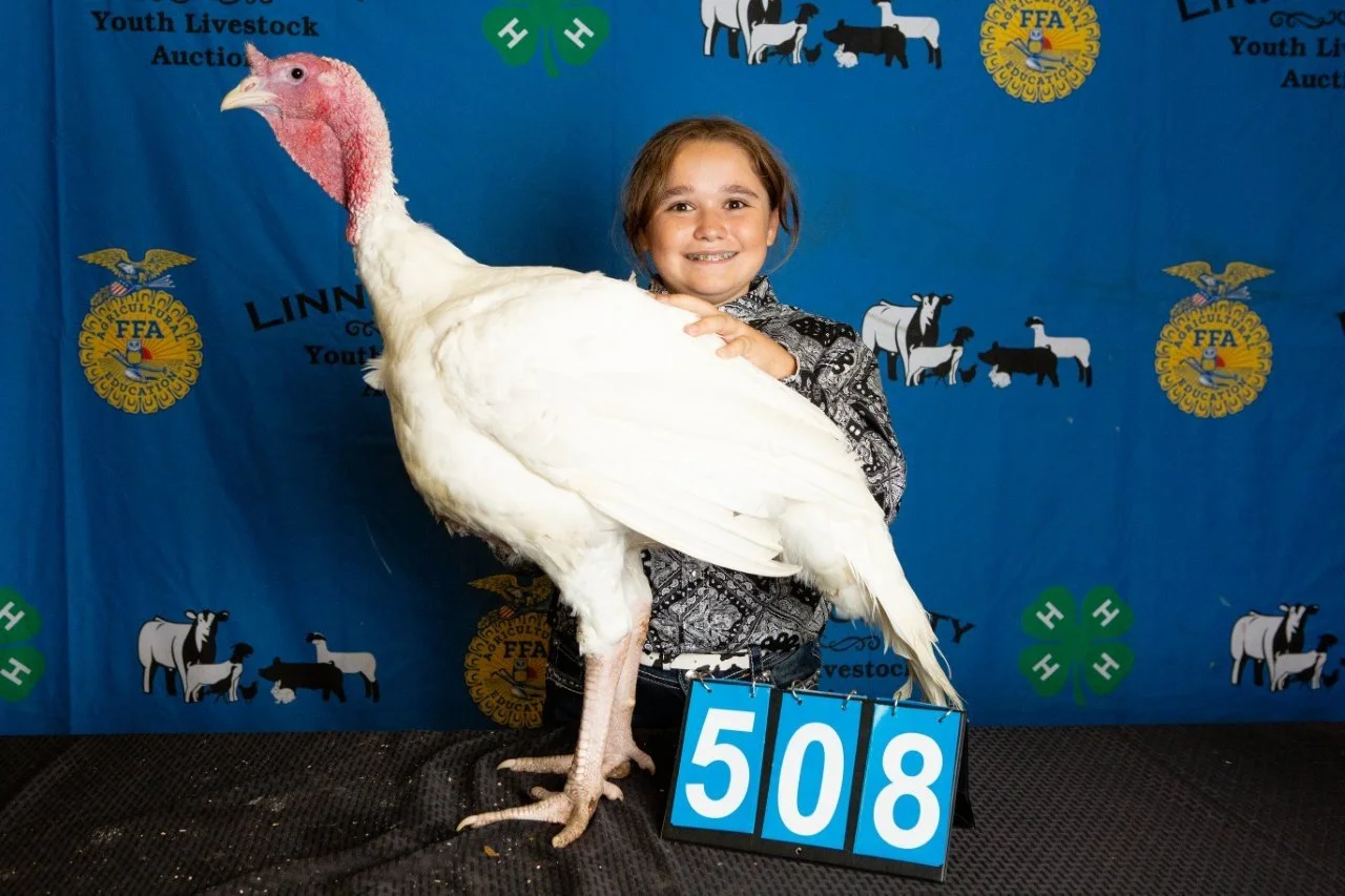 Turkey-508.jpg
