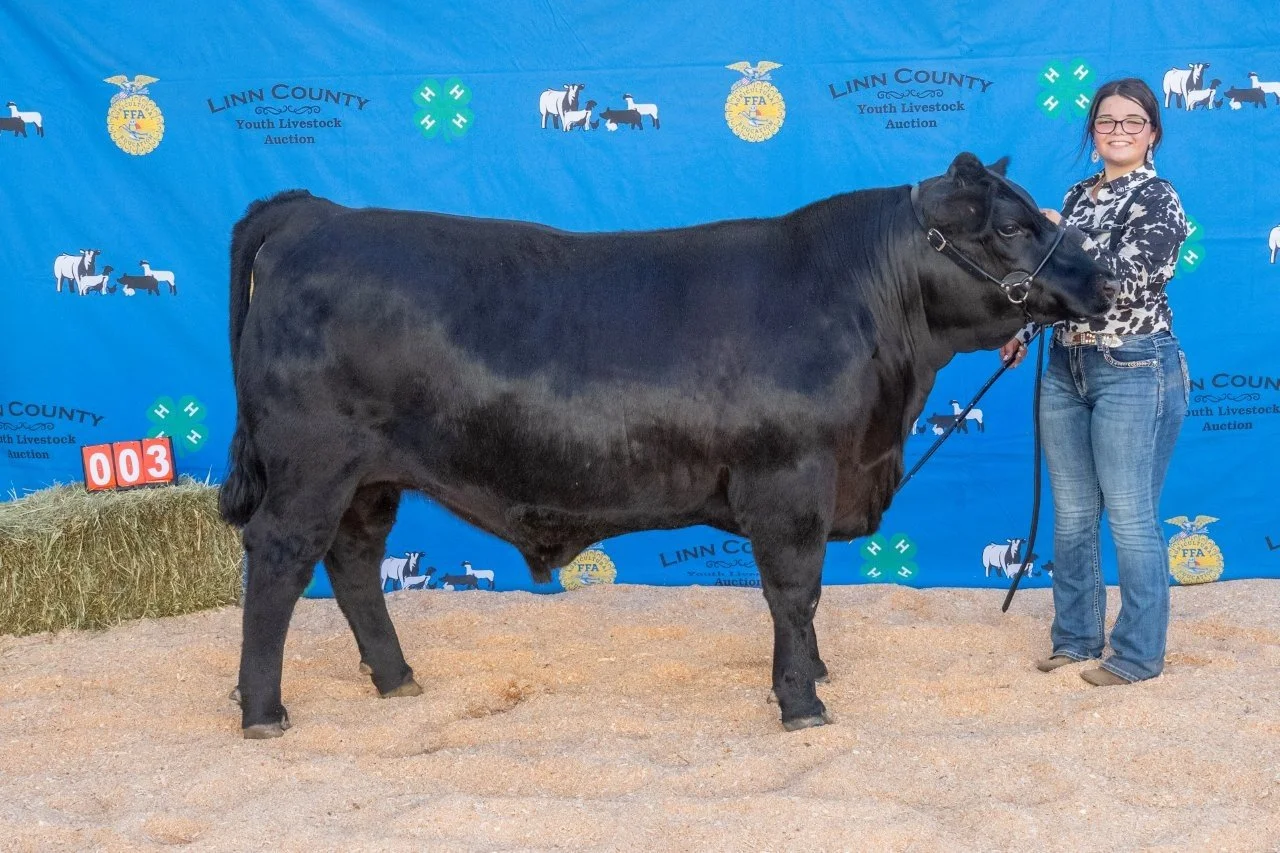 Beef 003 2 or 1 (1 of 1).jpg