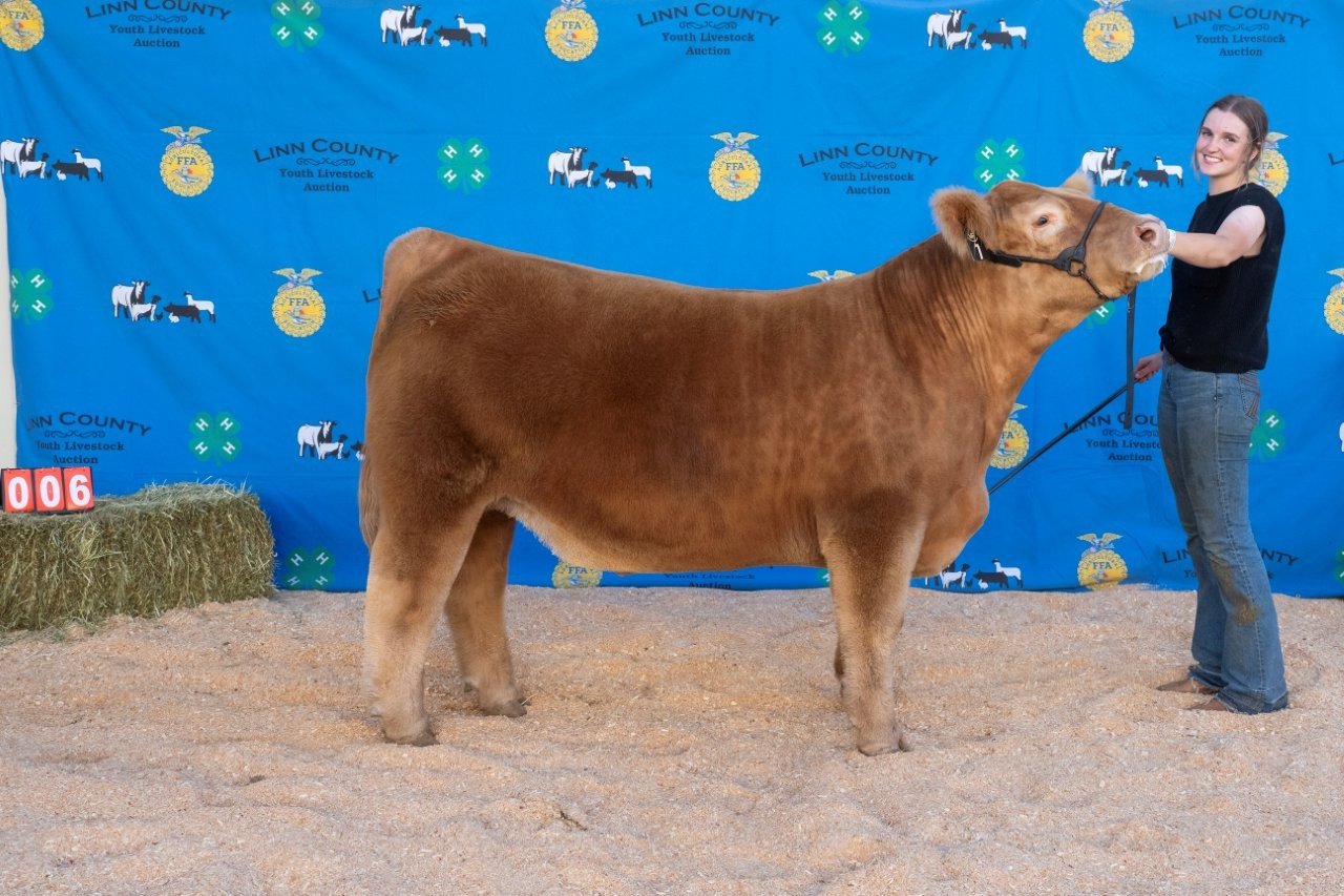 Beef 006 (1 of 1).jpg