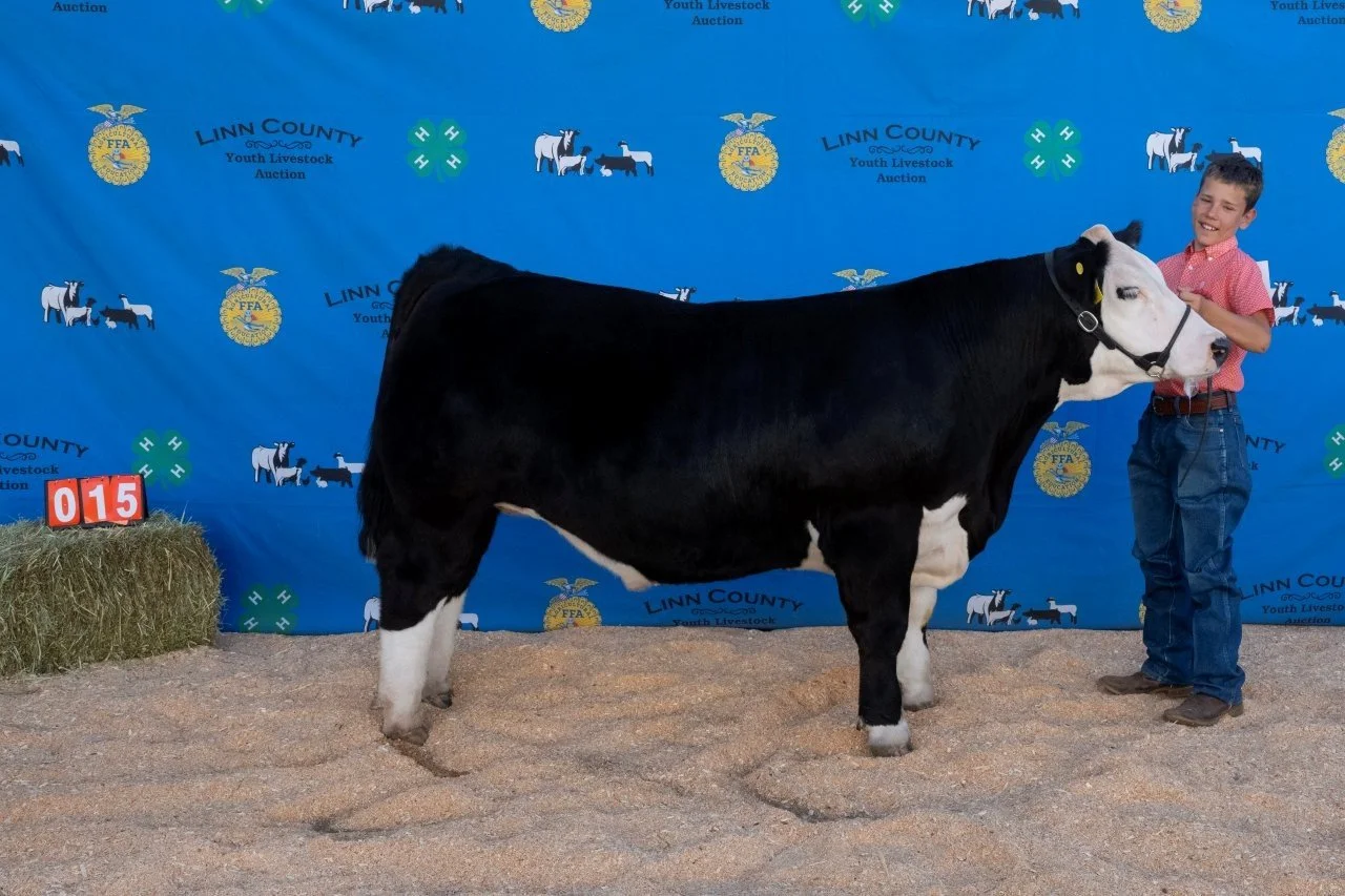 Beef 015 or 16 (1 of 1).jpg