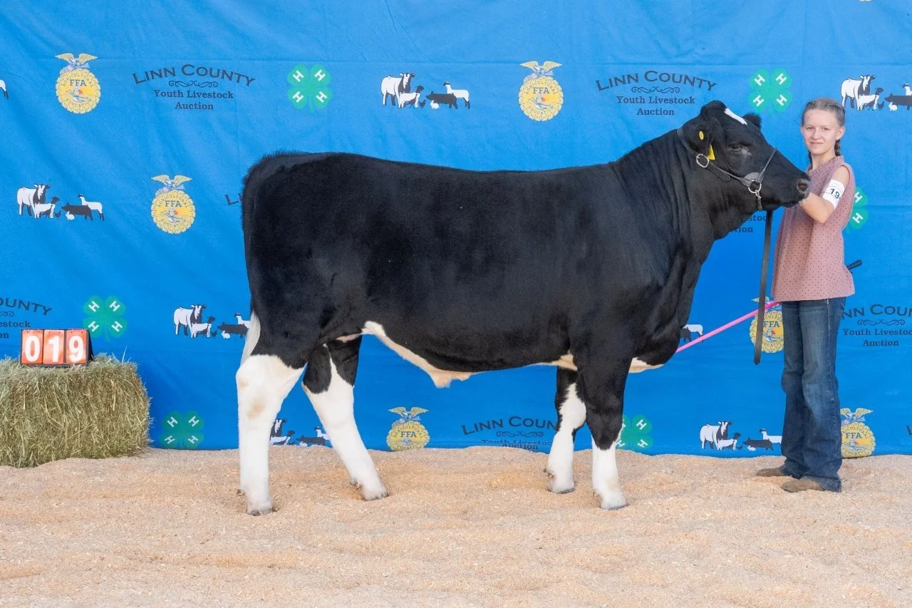 Beef 019 (1 of 1).jpg