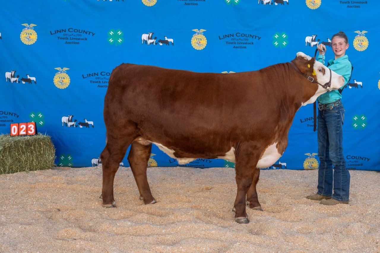 Beef 023 (1 of 1).jpg