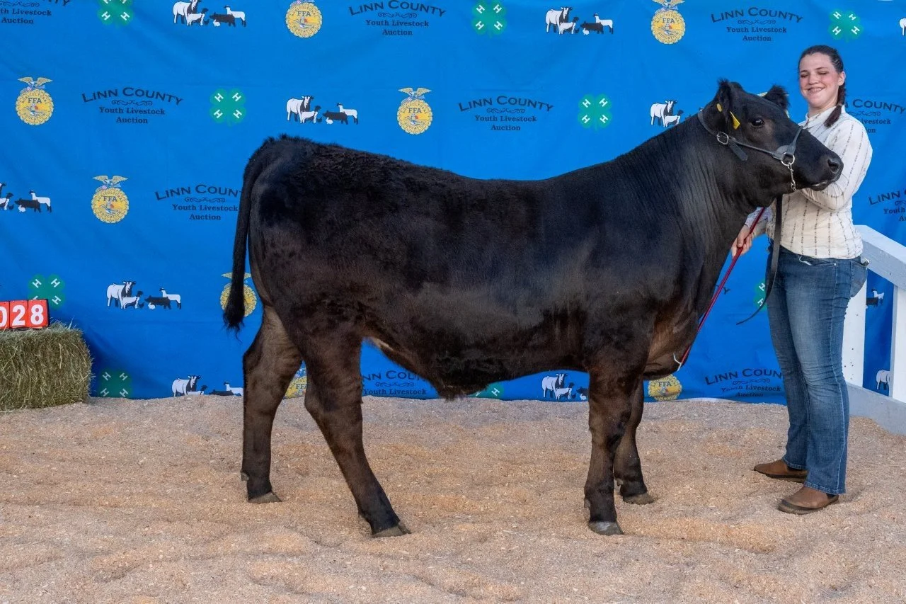 Beef 028 (1 of 1).jpg
