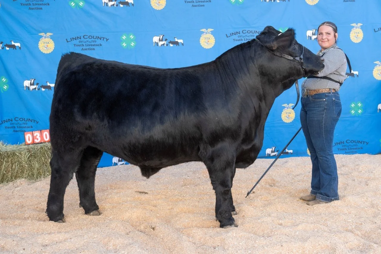 Beef 030 (1 of 1).jpg