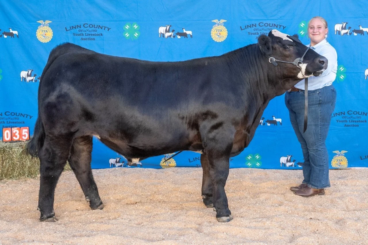 Beef 035 (1 of 1).jpg