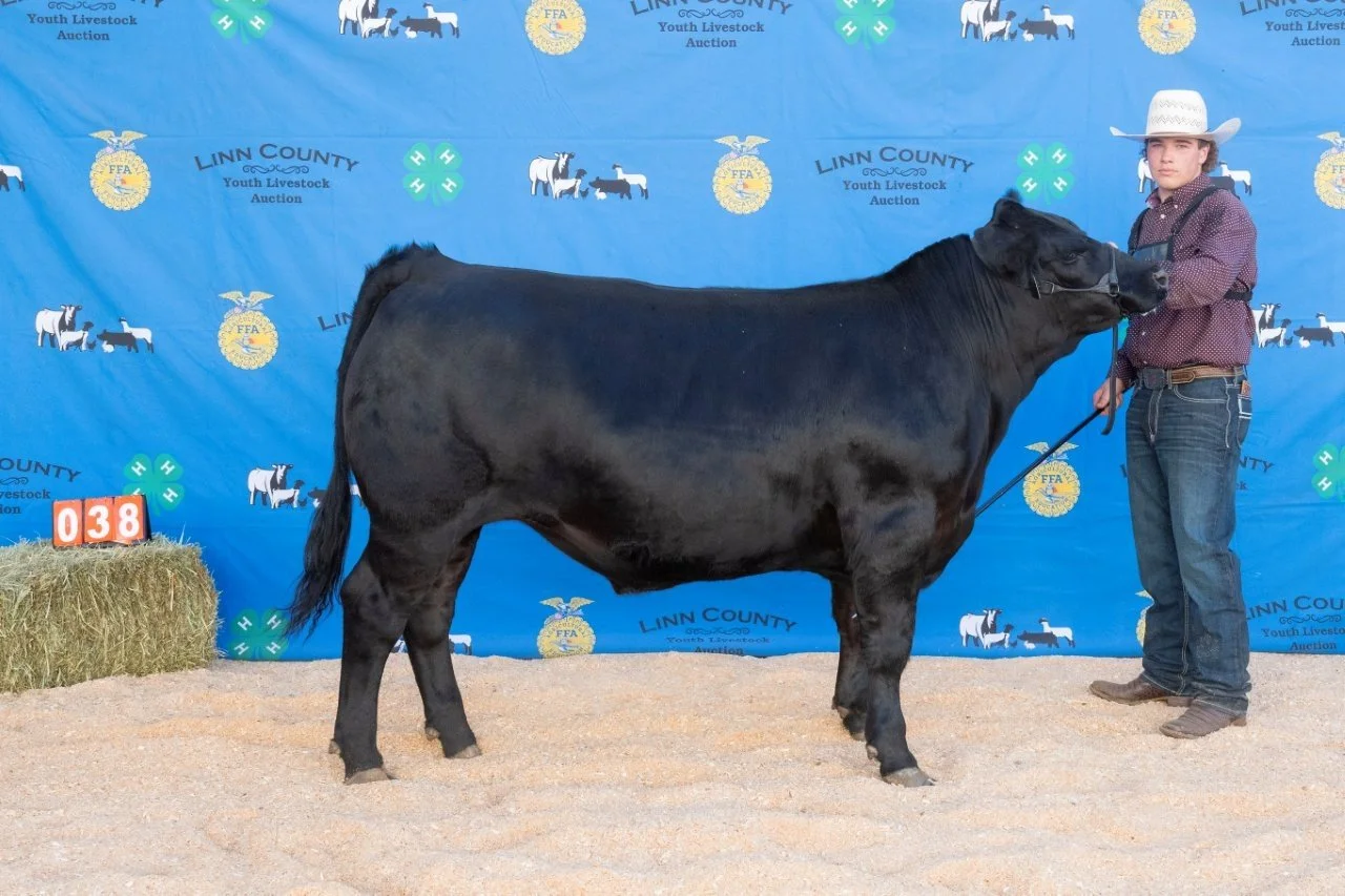 Beef 038 (1 of 1).jpg