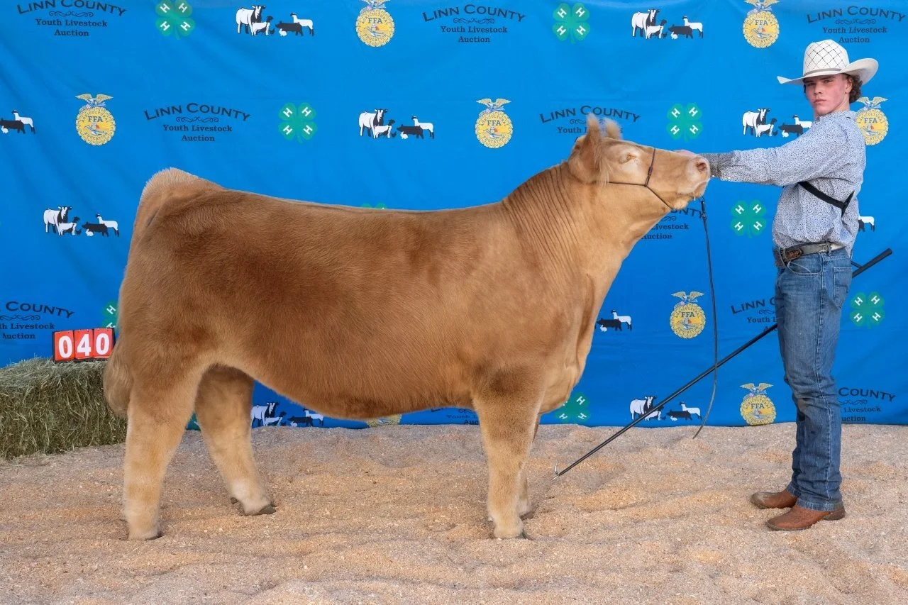 Beef 040 (1 of 1).jpg