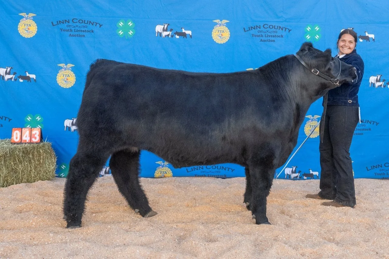 Beef 043 (1 of 1).jpg