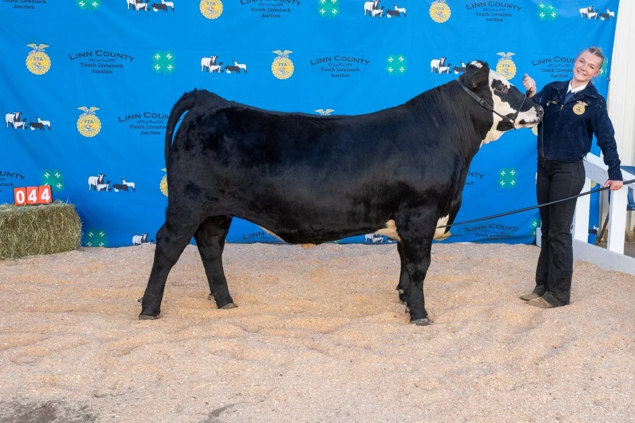 Beef 044 (1 of 1).jpg