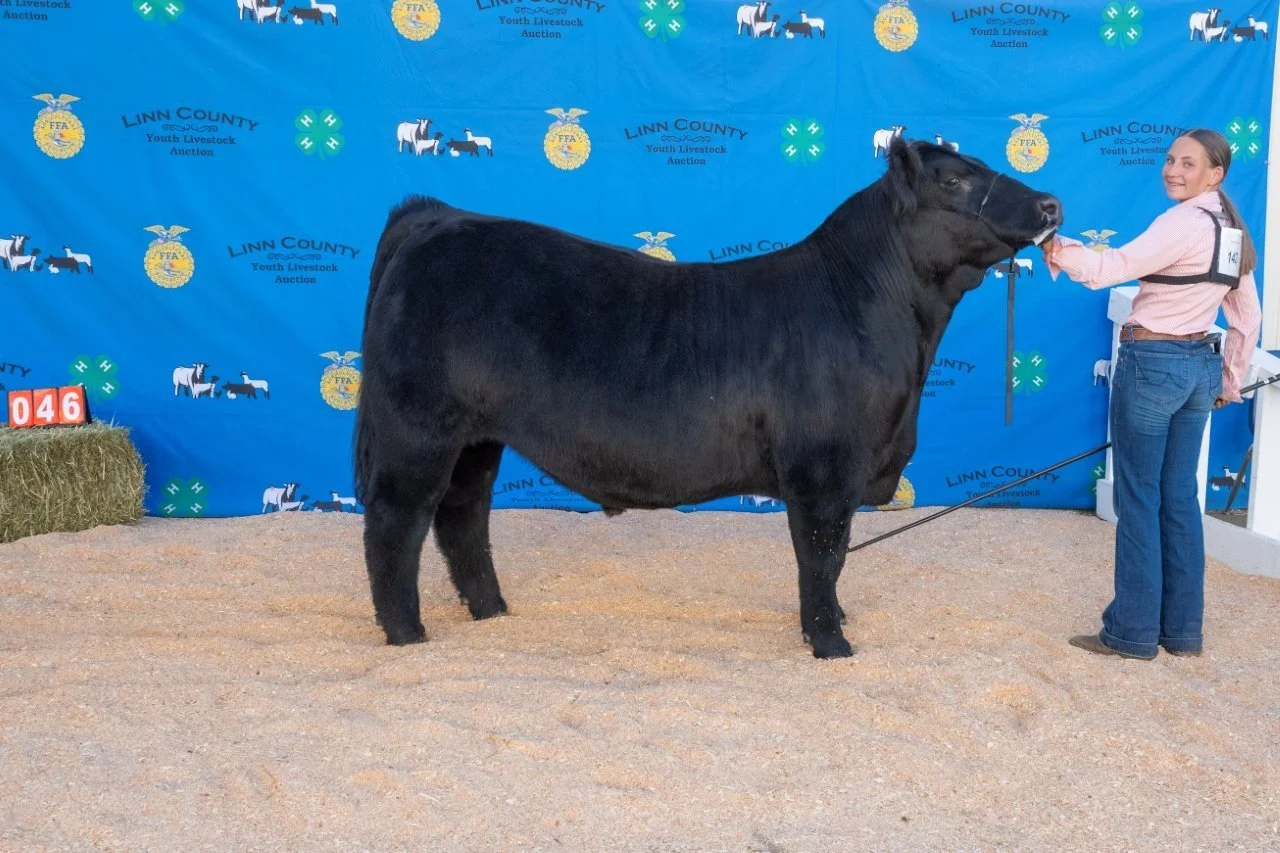 Beef 046 (1 of 1).jpg