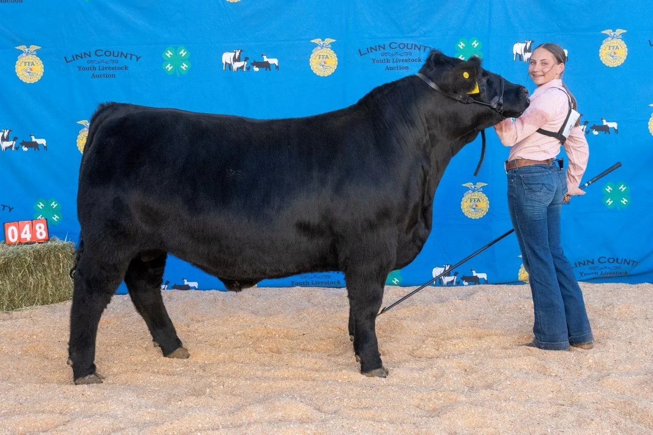 Beef 048 (1 of 1).jpg