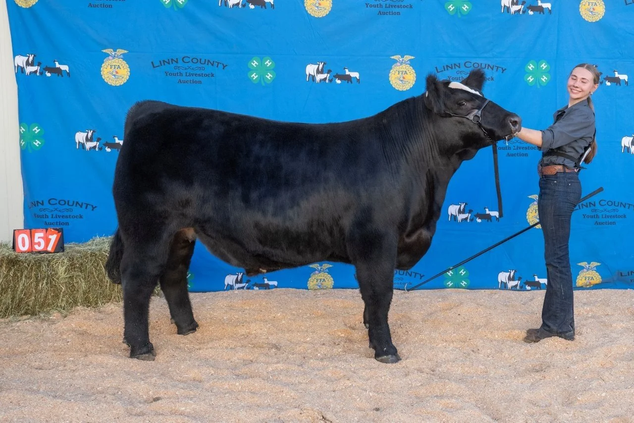 Beef 051 (1 of 1).jpg