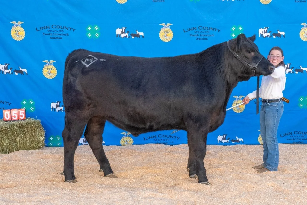 Beef 055 (1 of 1).jpg
